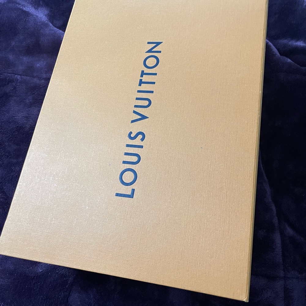 LV bag